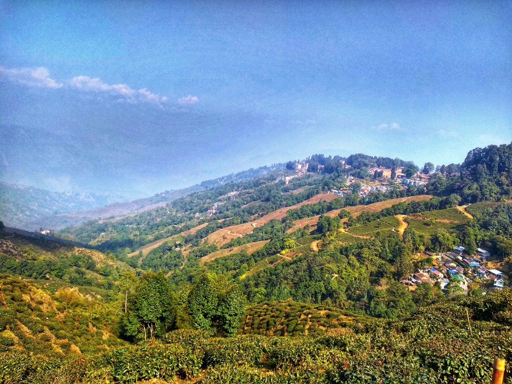 IMG_20190115_113811038_HDR-01